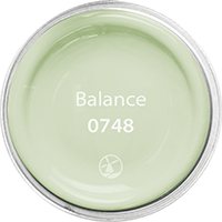 0748 Balance